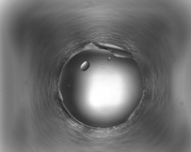 X0000065240037200602211225