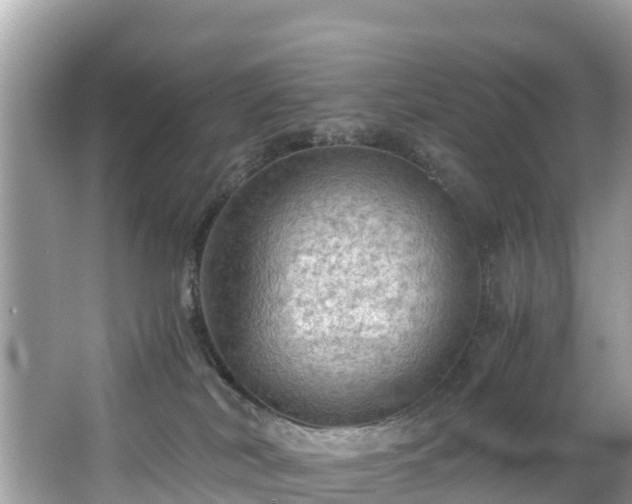 X0000065240038200602211225