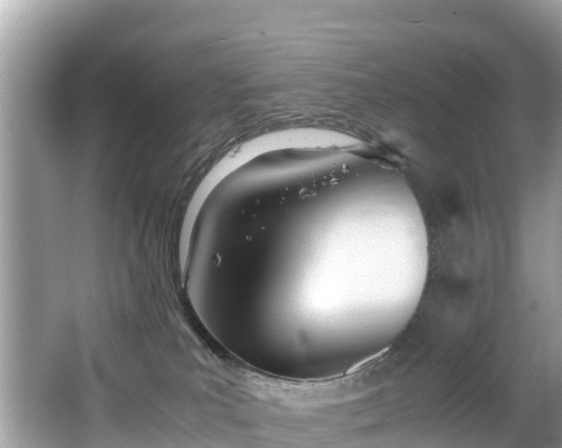 X0000065240039200602211225