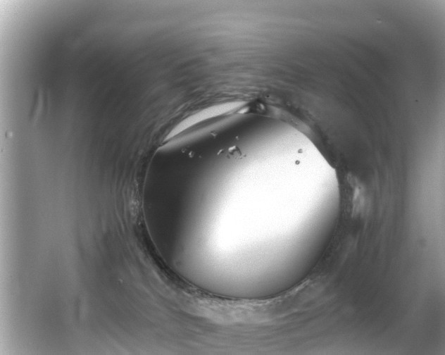 X0000065240040200602211225