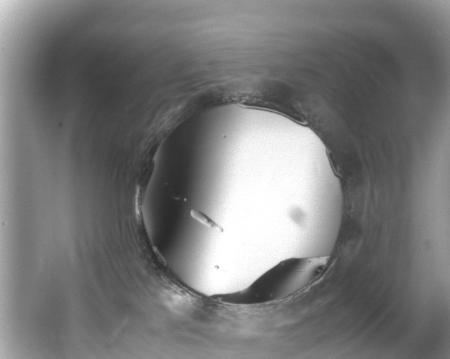 X0000065240041200602211225