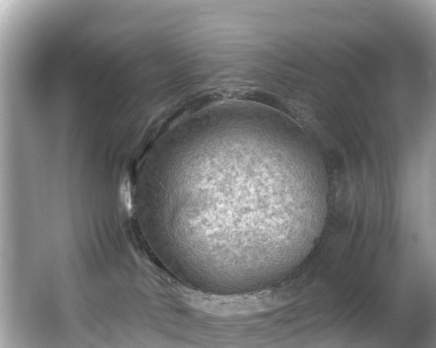 X0000065240042200602211225