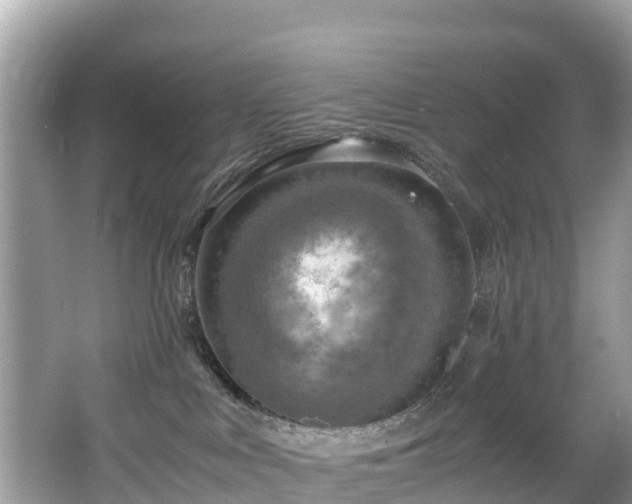 X0000065240043200602211225