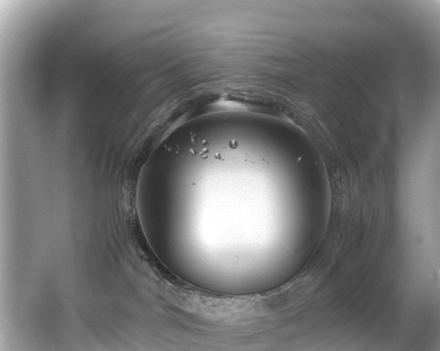 X0000065240044200602211225