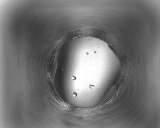 X0000065240045200602211225