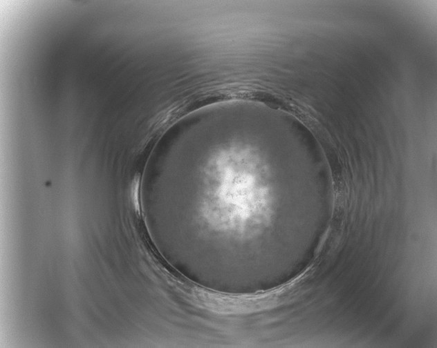 X0000065240047200602211225