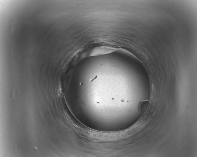 X0000065240048200602211225