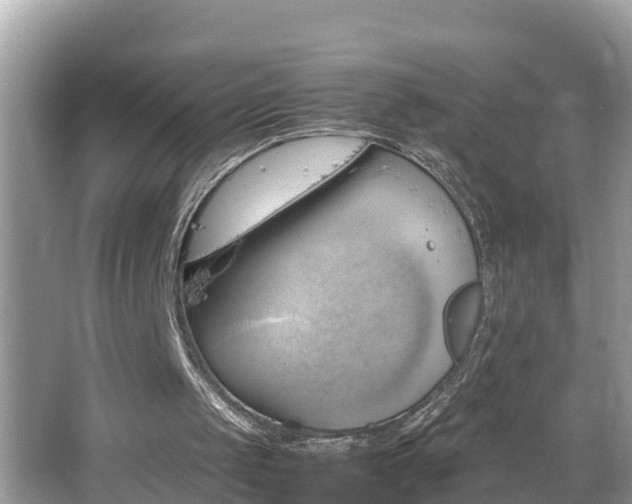 X0000065240049200602211224