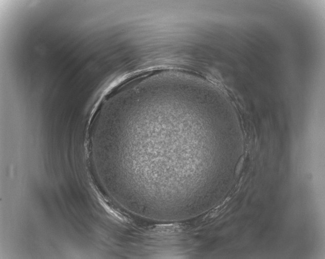 X0000065240050200602211224