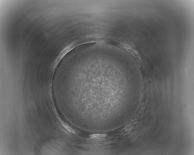 X0000065240051200602211224