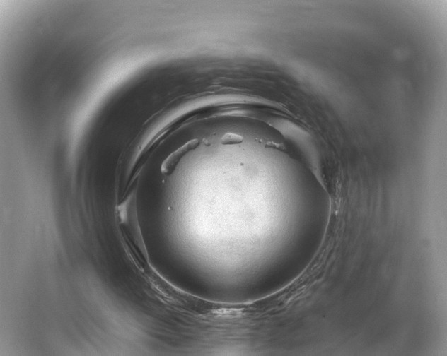 X0000065240052200602211224