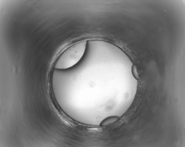 X0000065240053200602211224