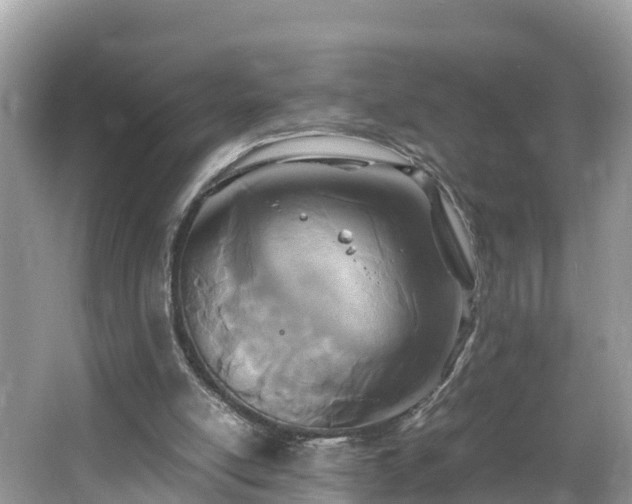 X0000065240054200602211224