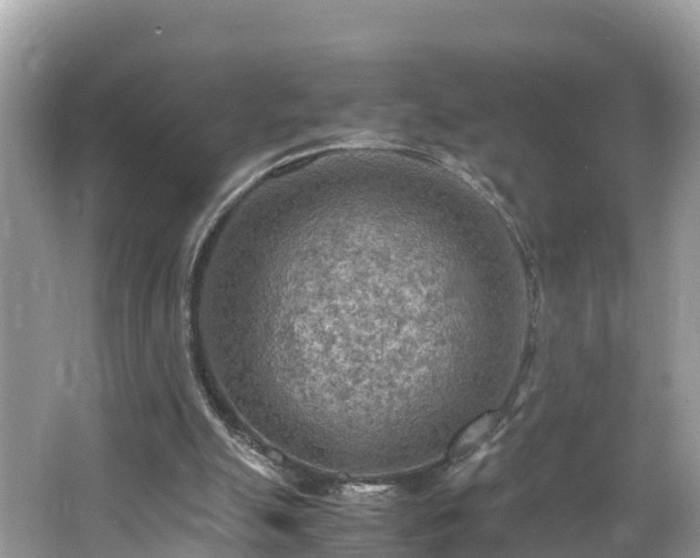 X0000065240055200602211224