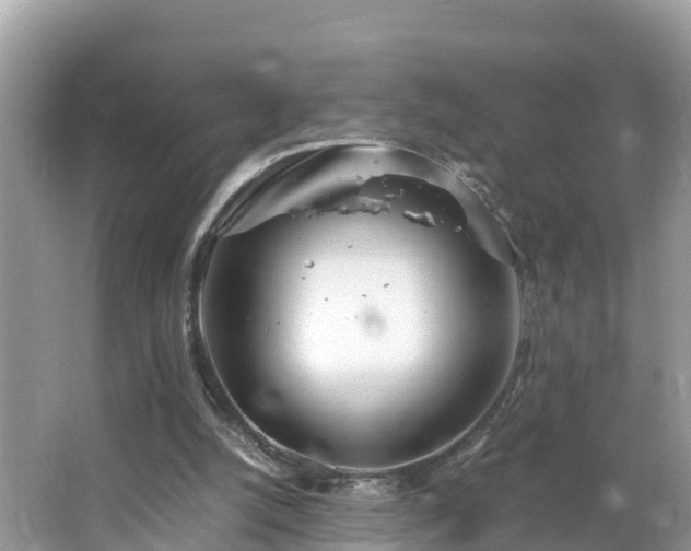 X0000065240056200602211224