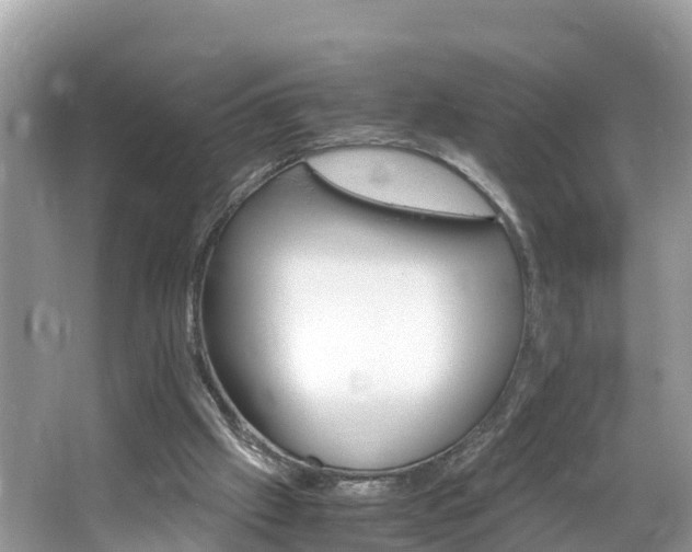 X0000065240057200602211224