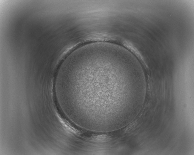 X0000065240058200602211224