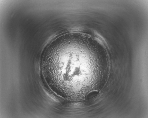 X0000065240059200602211224