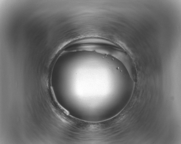 X0000065240060200602211224