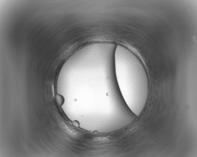 X0000065240061200602211224