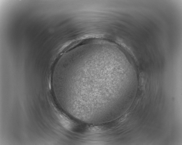 X0000065240062200602211224