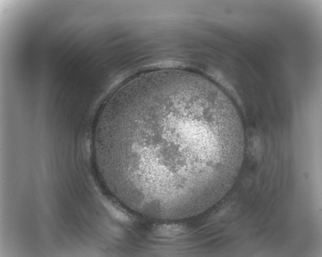 X0000065240063200602211224