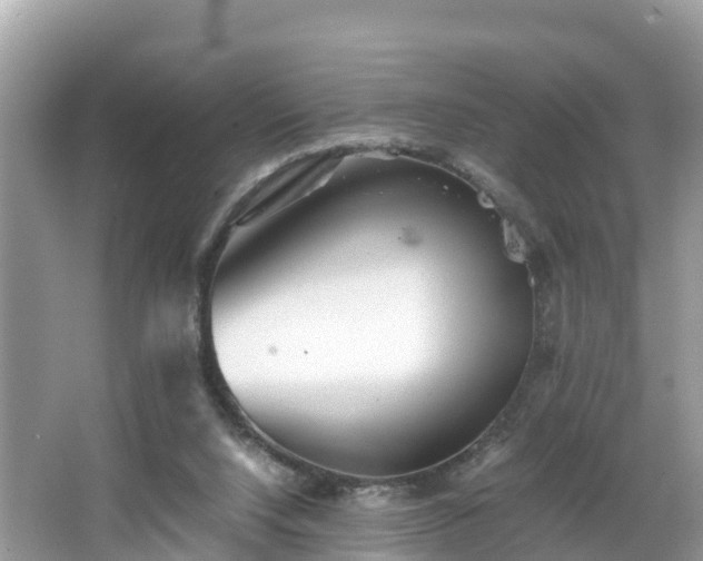 X0000065240064200602211224