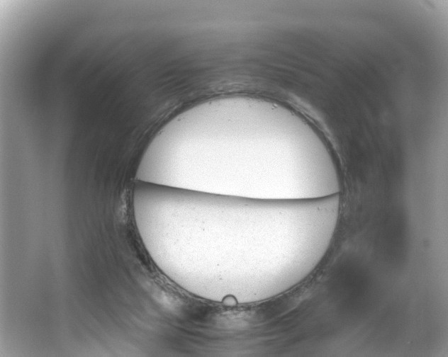 X0000065240065200602211224