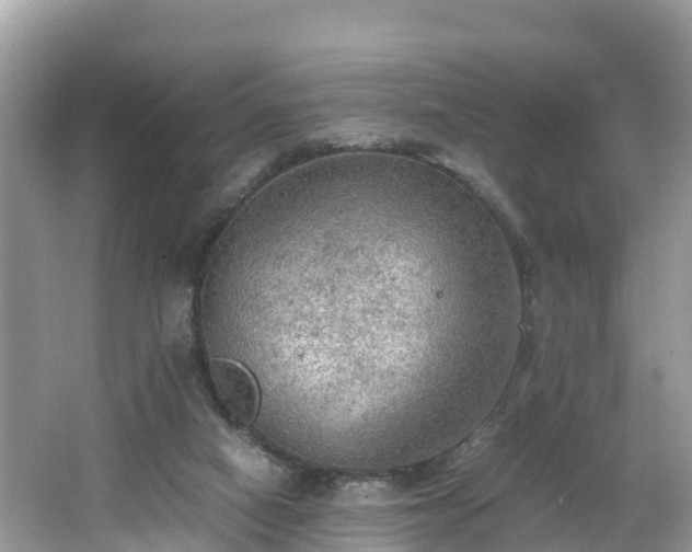 X0000065240066200602211224