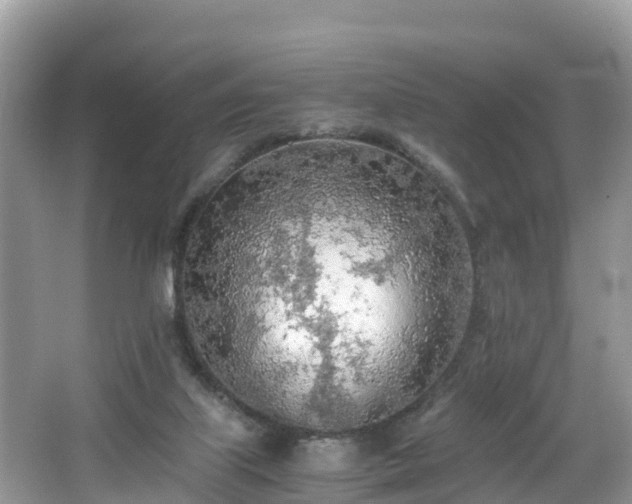 X0000065240067200602211224