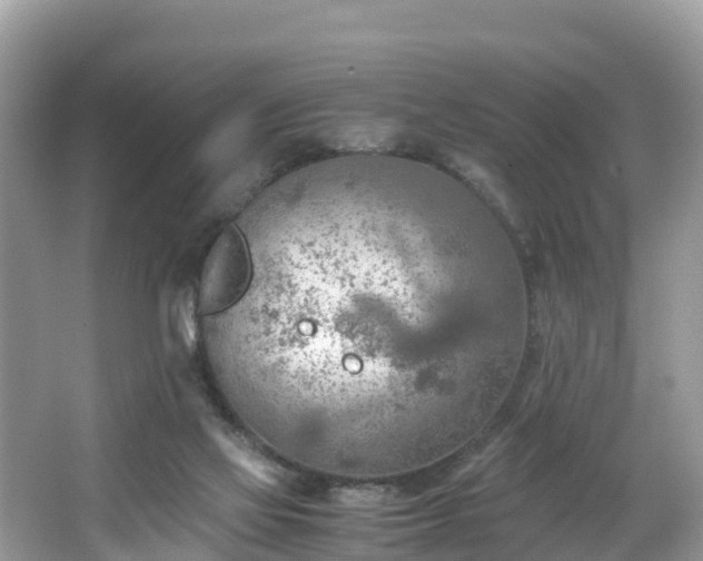 X0000065240069200602211224