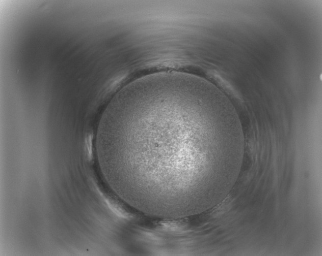 X0000065240070200602211224