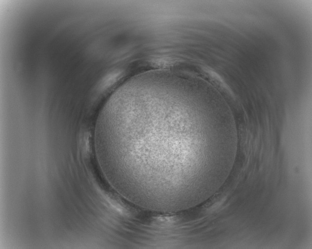 X0000065240071200602211224