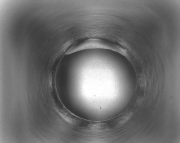 X0000065240072200602211224