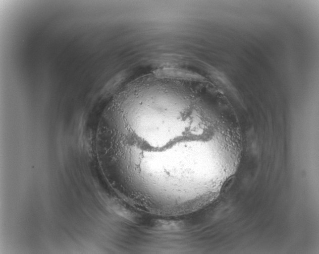 X0000065240073200602211224