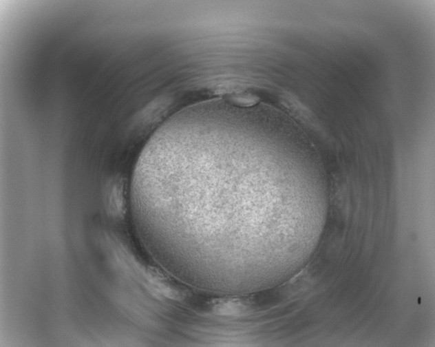 X0000065240074200602211224