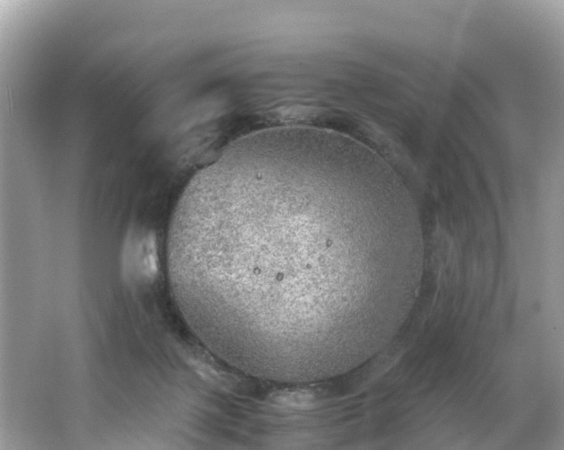 X0000065240075200602211224