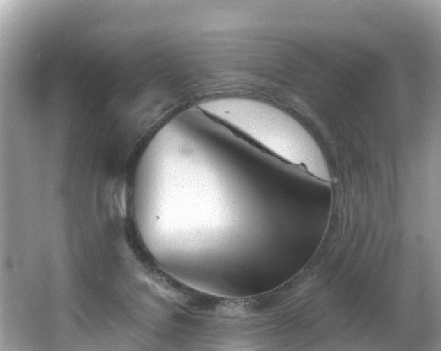 X0000065240076200602211224