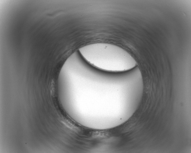 X0000065240077200602211224