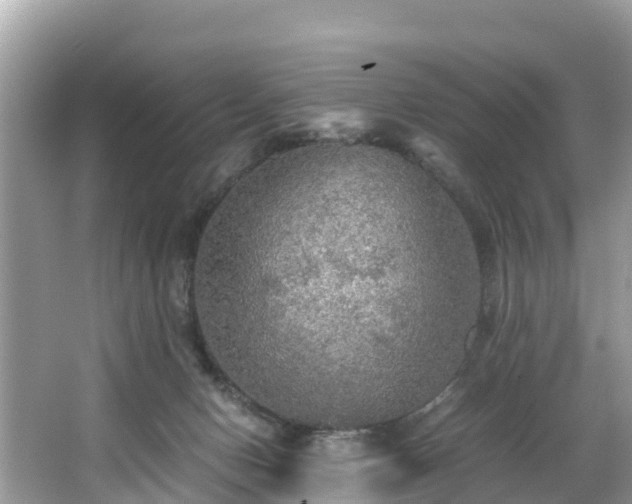 X0000065240078200602211224