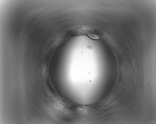 X0000065240079200602211224