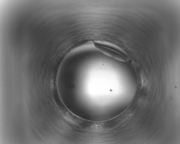 X0000065240080200602211225