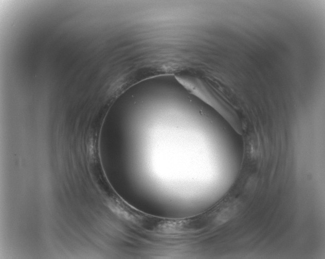 X0000065240084200602211225