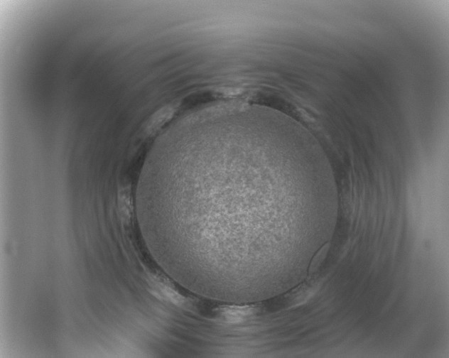 X0000065240085200602211225