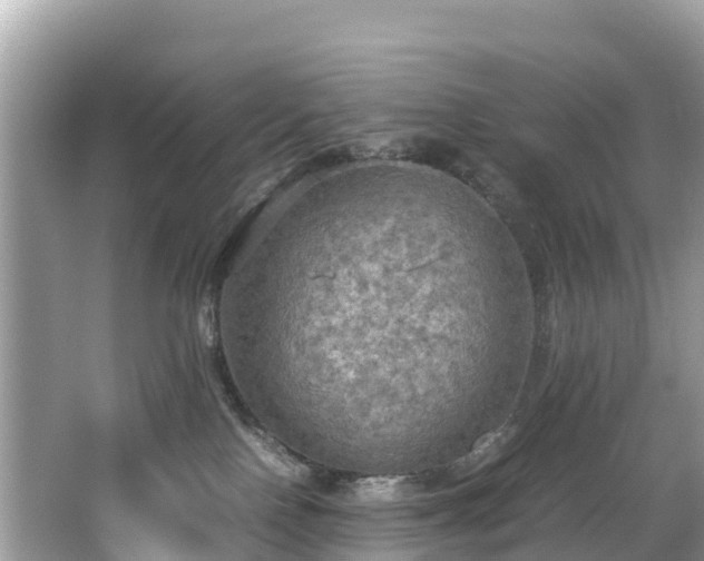 X0000065240090200602211225