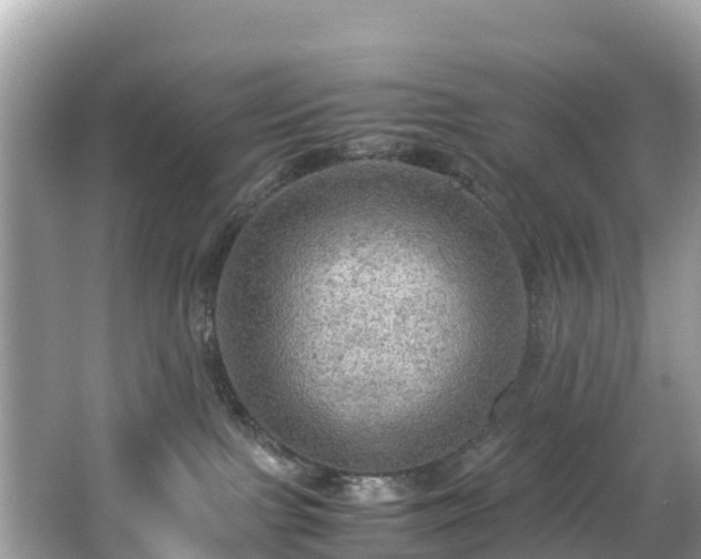 X0000065240091200602211225