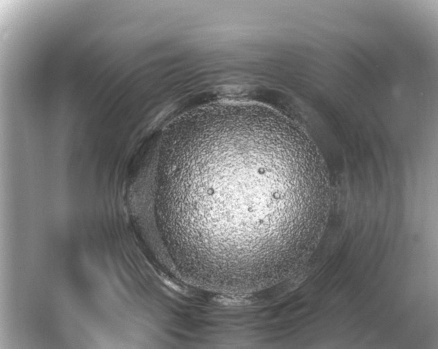 X0000065240093200602211225