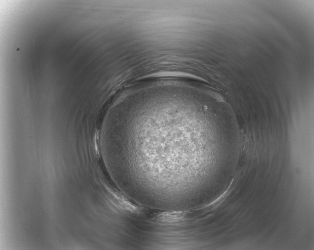 X0000065240094200602211225