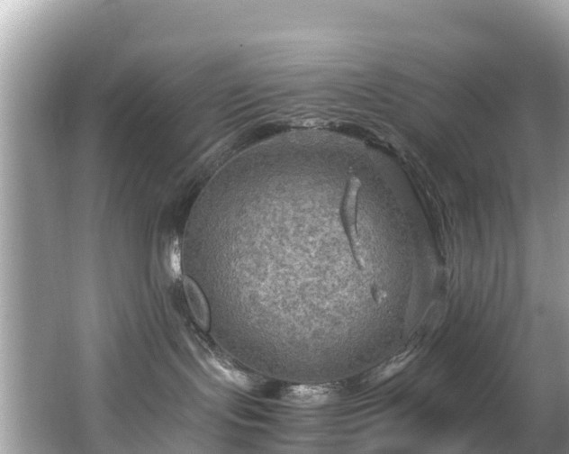 X0000065240095200602211225