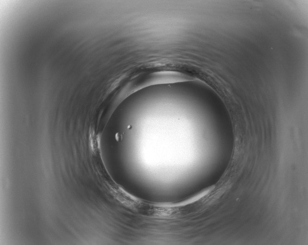 X0000065240096200602211225